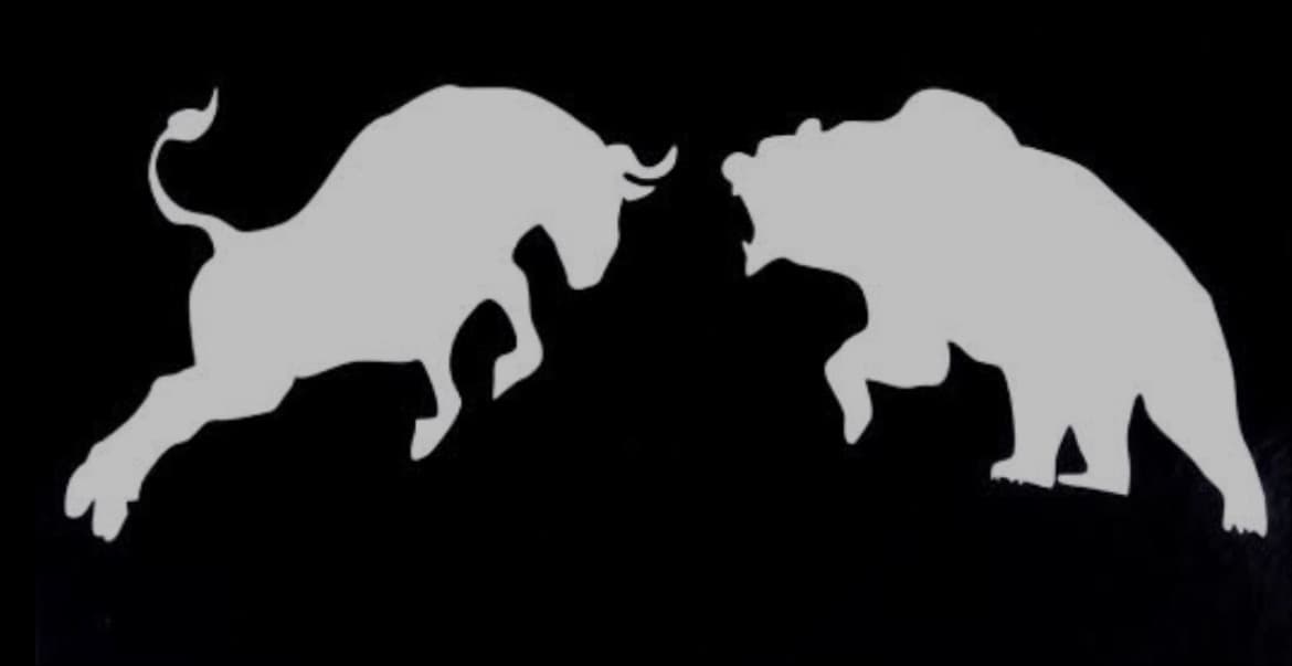 Bull and bear — enqiva Capital